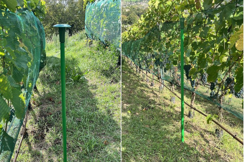 Dissuasori olfattivi