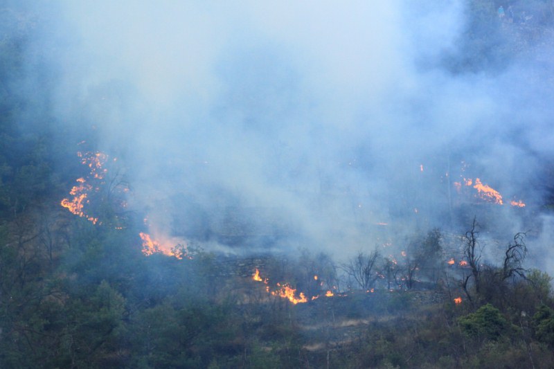 Incendio boschivo Incendio boschivo