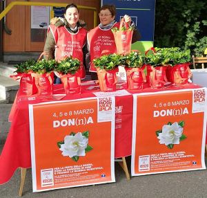 Raccolti oltre 25mila euro in Valle d'Aosta per la lotta alla sclerosi multipla