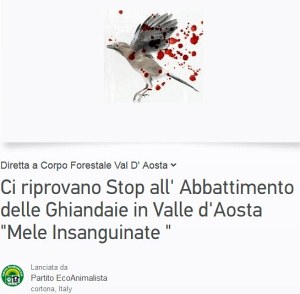 Sul web non si ferma la protesta contro l'abbattimento delle ghiandaie