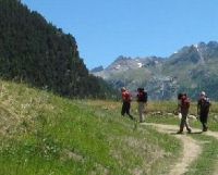 giroparchi