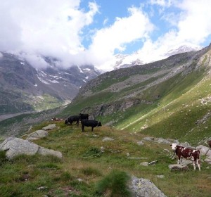 Gressoney, stop al progetto della centrale al Cortlys