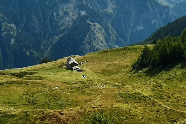 Incontro pubblico sul progetto della strada poderale al Col Ranzola