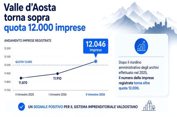 Grafico imprese