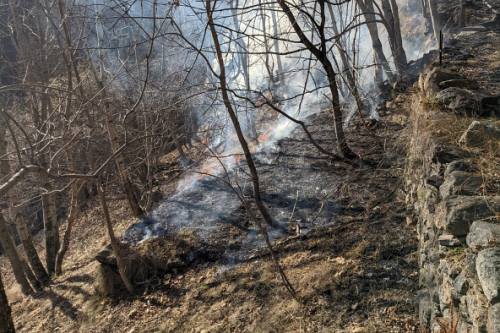 Incendio boschivo