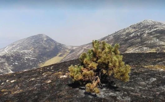 Il Parco nazionale della Majella brucia nell'indifferenza generale