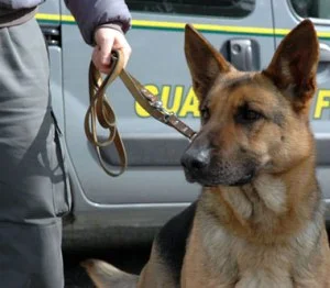 Torinese fermato alla stazione ferroviaria di Verrès con hashish