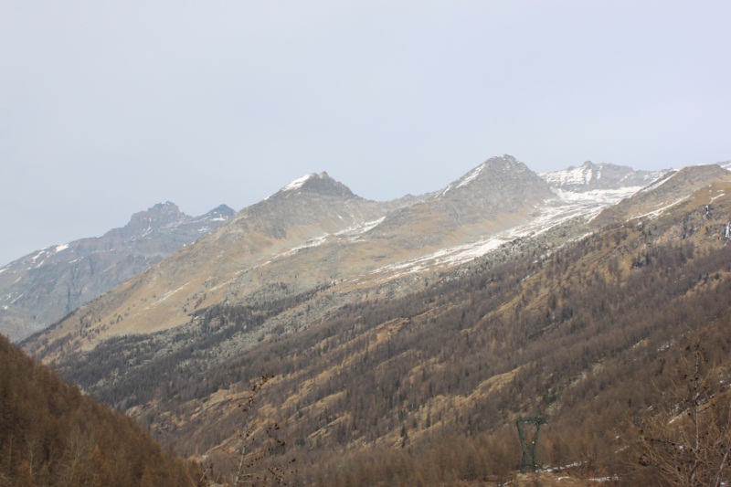 Montagna