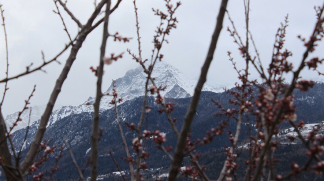 Neve in primavera