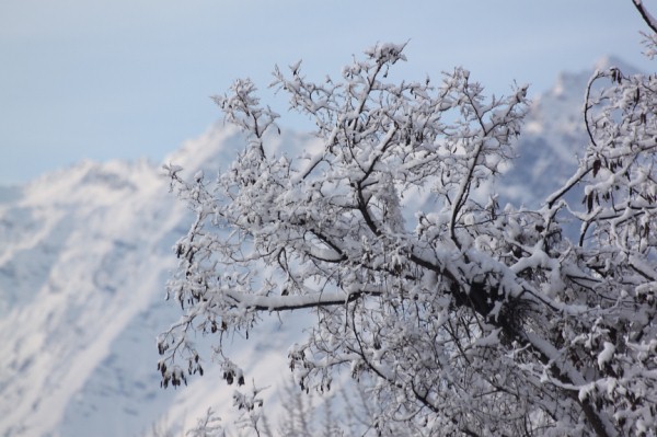 Nevicata