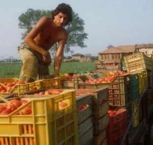 Voucher: per il referendum si voterà il 28 maggio