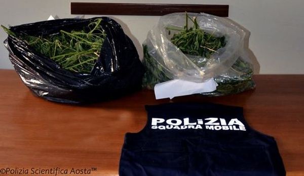 Sequestrati in un rudere a Sarre 3,5 chili di marijuana