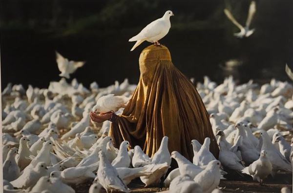 McCurry