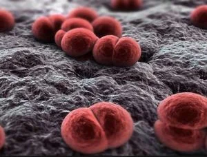 Valle d'Aosta, meningite e vaccini: il parere del dottor Brinato del pronto soccorso