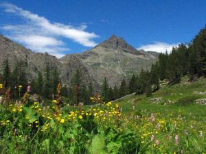 Estate, stagione di trekking: incontro ad Aosta per parlare di sicurezza