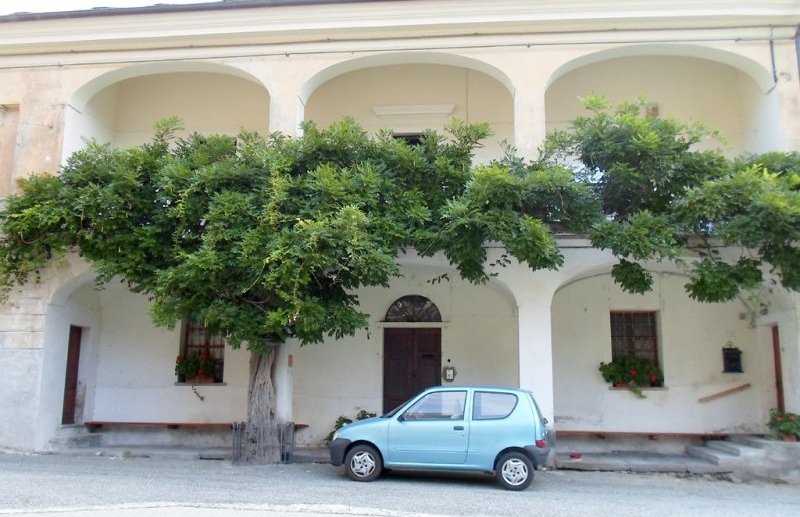 Pianta monumentale