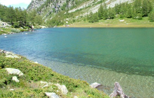 Lago-arpyx530