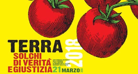 mostra terra