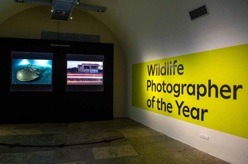 La fotografia naturalistica nelle aree protette, conferenza al Forte di Bard