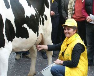 Zootecnia, Apostoli (Coldiretti):  "Lactalis peggior pagatore in Italia"