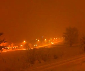neve-livecam