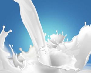 Latte, firmato il decreto sull'origine obbligatoria in etichetta