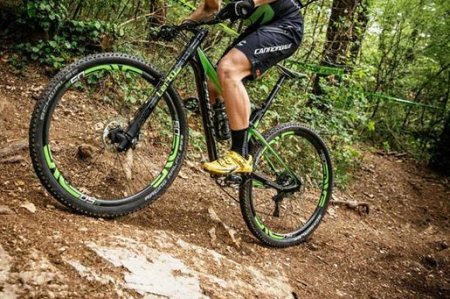 Mtb Mtb