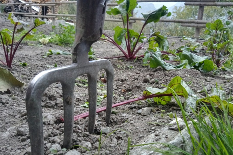 Orti e pollai di montagna protagonisti a Donnas