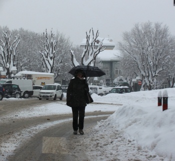 Pedone-neve