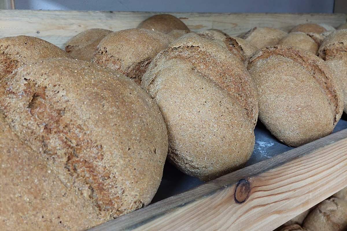 I forni tradizionali si riaccendono per la Festa del Pan Ner 