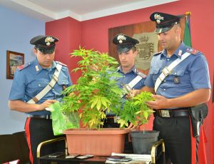 Coltiva marijuana in mansarda: 37enne di Aosta denunciato dai carabinieri