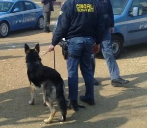 Controlli antidroga della polizia nelle scuole di Aosta