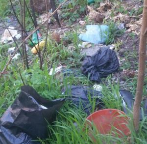 Earth Day 2017, a Pont-Saint-Martin raccolte 5 quintali di rifiuti