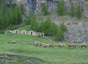 Legambiente: nel dibattito sui parchi no a strumentalizzazioni artificiose