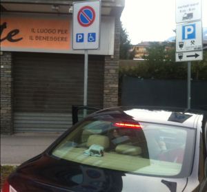 Svizzeri-disabili