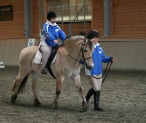 Rinnovato il servizio di riabilitazione equestre con l'Avres
