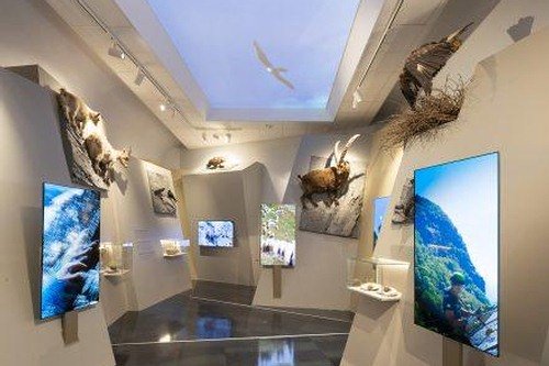 Giornata della Biodiversità, il 22 maggio ingresso gratuito al Museo di Scienze naturali