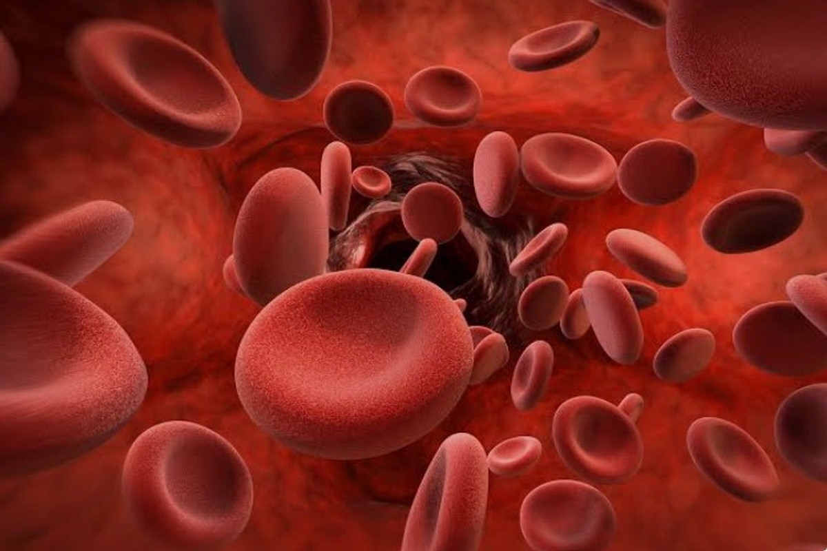 Malasanità in Valle d'Aosta: impossibile fare (anche) visite ematologiche