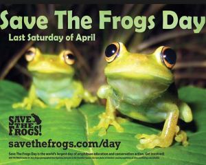 save-thefrogsday