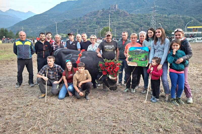 Batailles de Reines, a Châtillon si è svolta la penultima eliminatoria del 2026