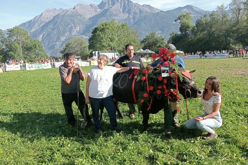 Gitane, Vilaine e Voleine vincono l'eliminatoria di Excenex delle Batailles