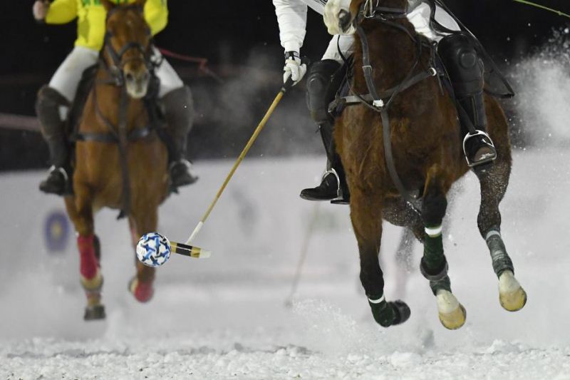Polo invernale