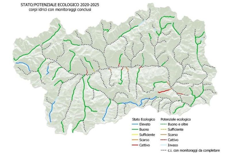 Grafico ARPA
