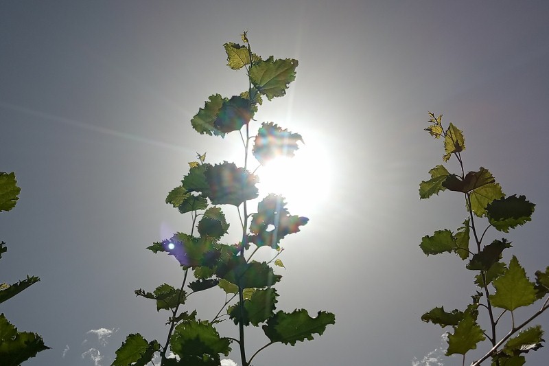 Meteo Valle d'Aosta: oggi il giorno più caldo, poi temperature in leggero calo