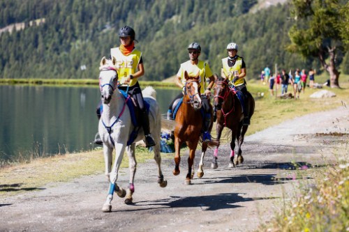 Torgnon Endurance