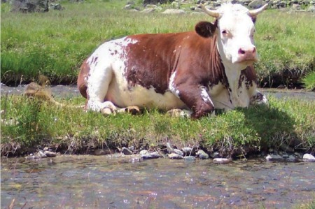 Escursioni nel vallone di Tzére