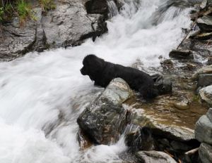 Champoluc, trovato il corpo dell'escursionista disperso