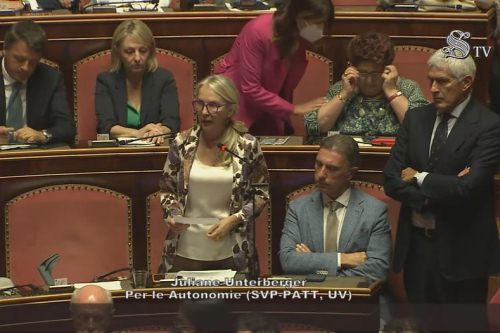 La capogruppo Unterberger interviene al Senato