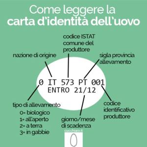 uovo-codici