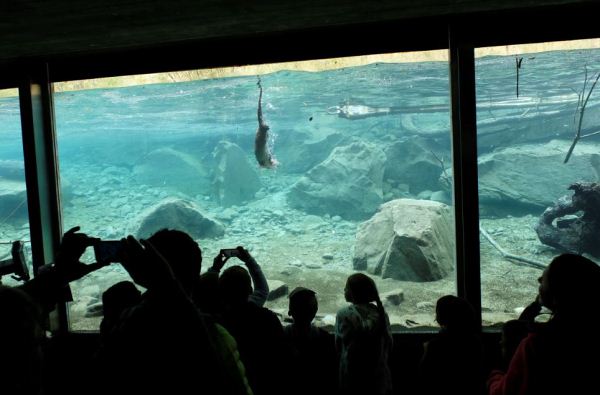 Centro Acqua e Biodiversità